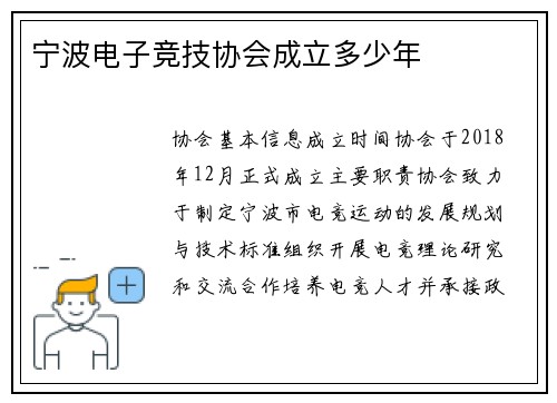 宁波电子竞技协会成立多少年
